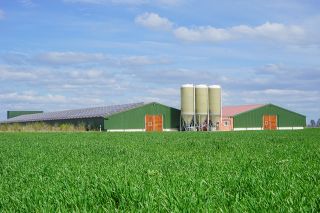 Foto: Ställe und Silos